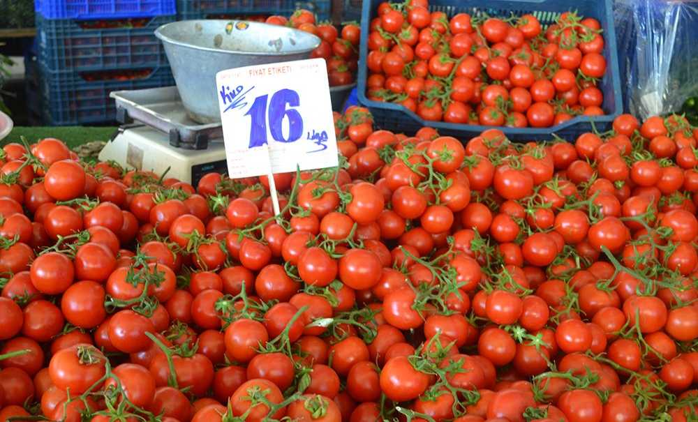 Ak Parti'den 1500 Kişilik İftar