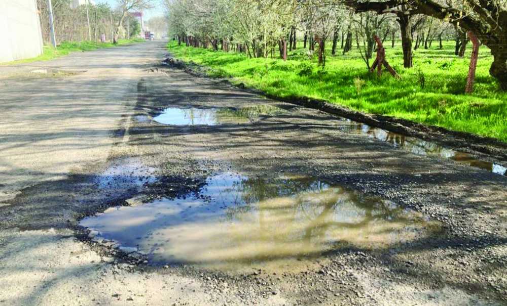 Tren Yolu Çile Yolu Oldu!