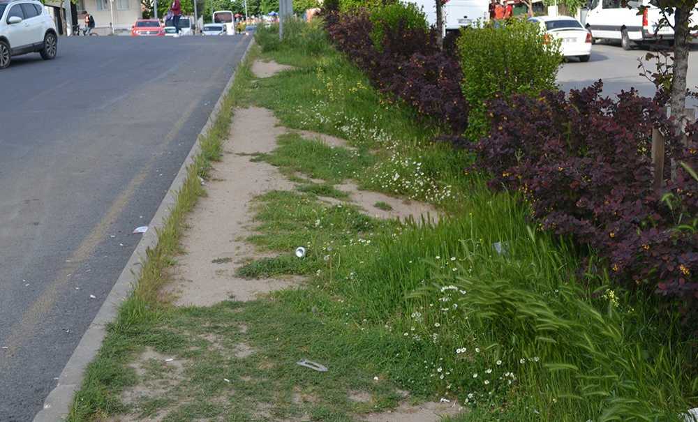 Refüjler Ve Parklar Bakım İstiyor