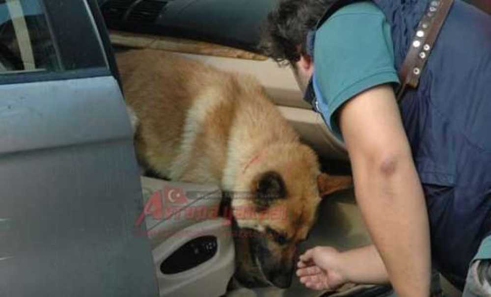 35 Kilo Eroin Ele Geçirildi