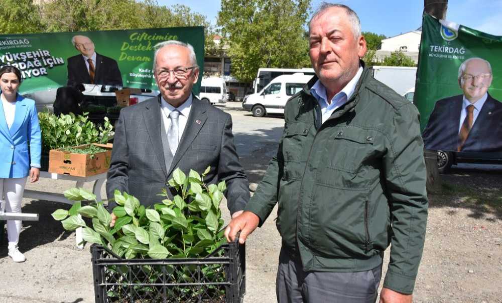 Büyükşehir Çiftçiye Desteğini Sürdürüyor