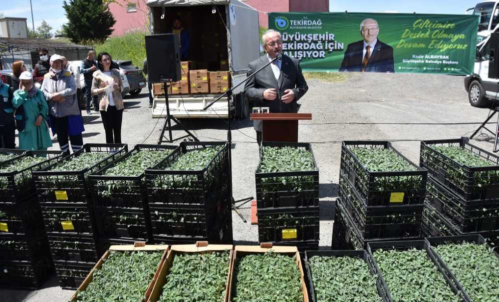 Büyükşehir Çiftçiye Desteğini Sürdürüyor