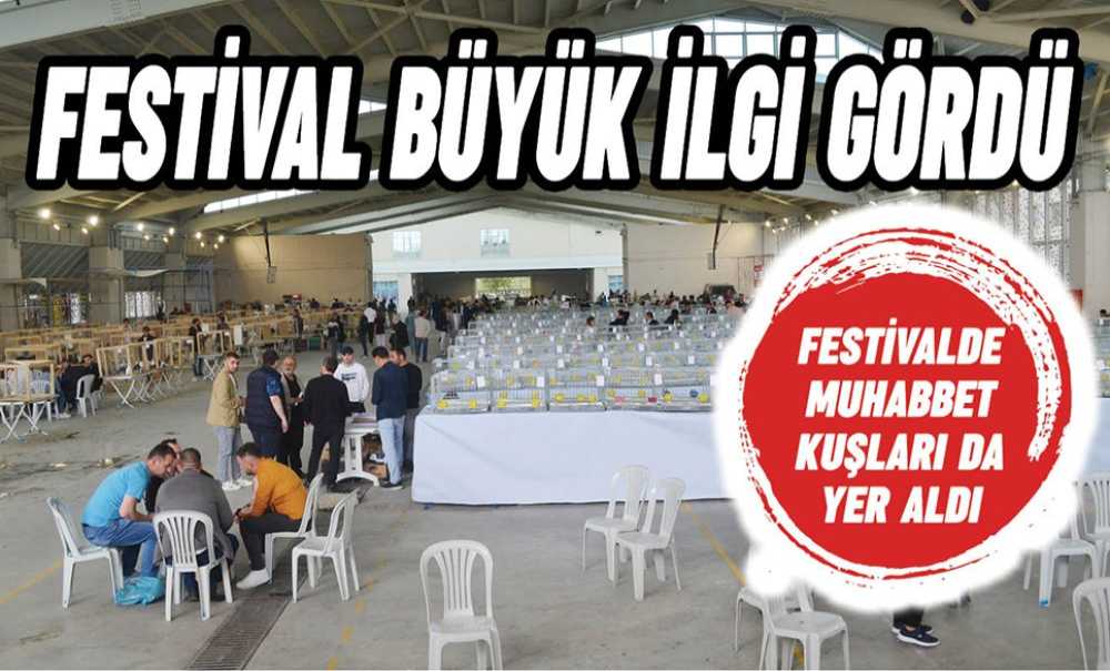 Festival Büyük İlgi Gördü