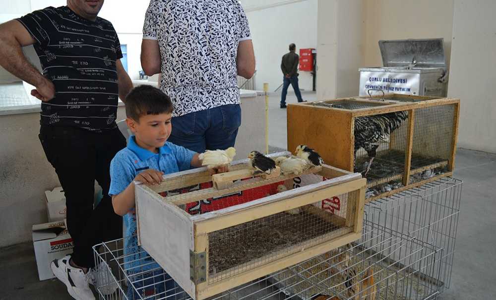 Festival Büyük İlgi Gördü