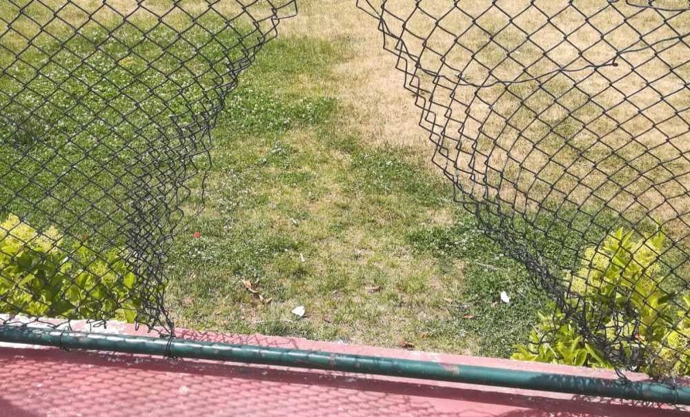 Şehir Eşkıyaları Parklara Zarar Veriyor