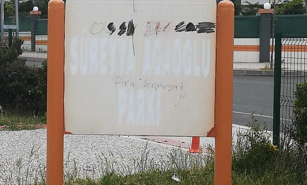 Şehir Eşkıyaları Parklara Zarar Veriyor