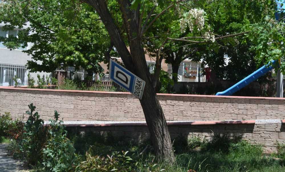 Tabela Var, Otobüs Yok!