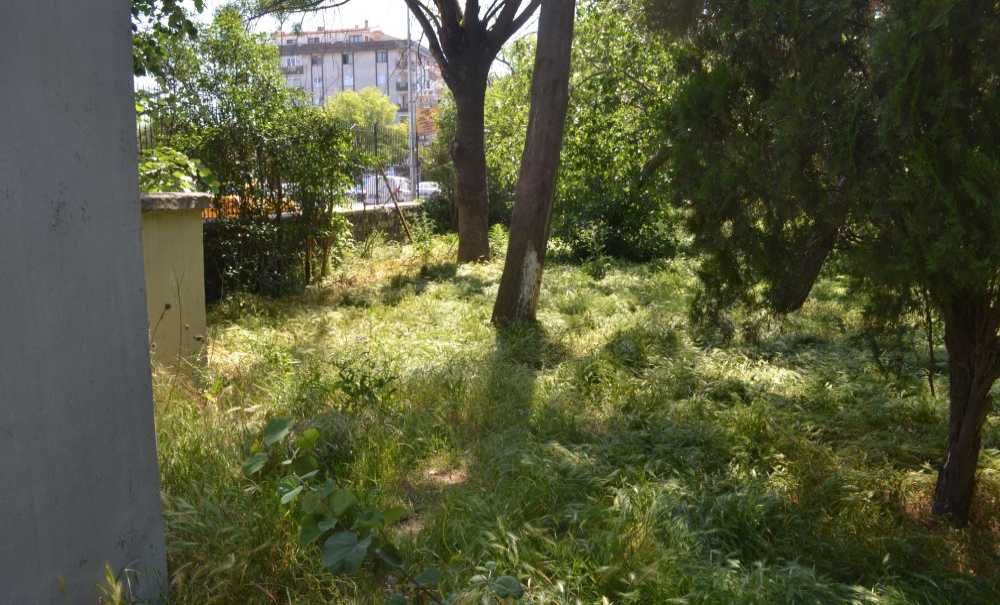 Hastanenin Bahçesinde Otlar Diz Boyu