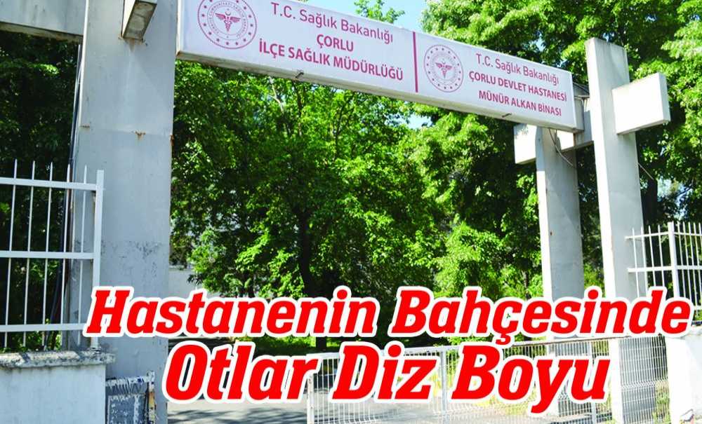 Hastanenin Bahçesinde Otlar Diz Boyu