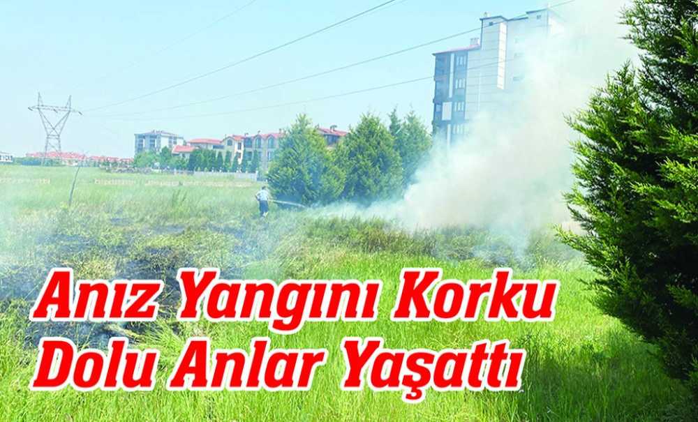Anız Yangını Korku Dolu Anlar Yaşattı