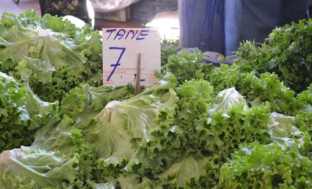 Pazarda Fiyatlar İnişe Geçti