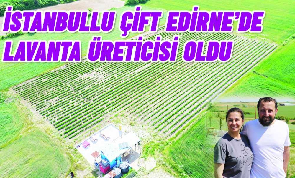 İstanbullu Çift Edirne'de Lavanta Üreticisi Oldu