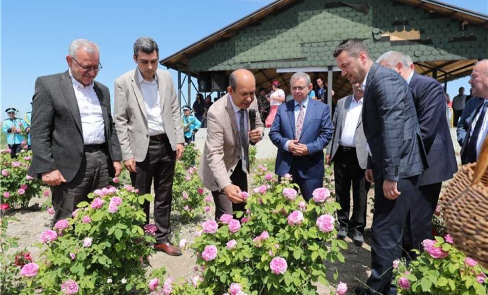 Edirne'de Gül Hasadı Şenliği Düzenlendi