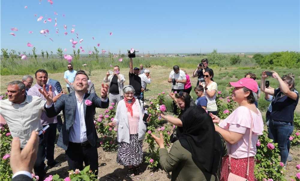 Edirne'de Gül Hasadı Şenliği Düzenlendi