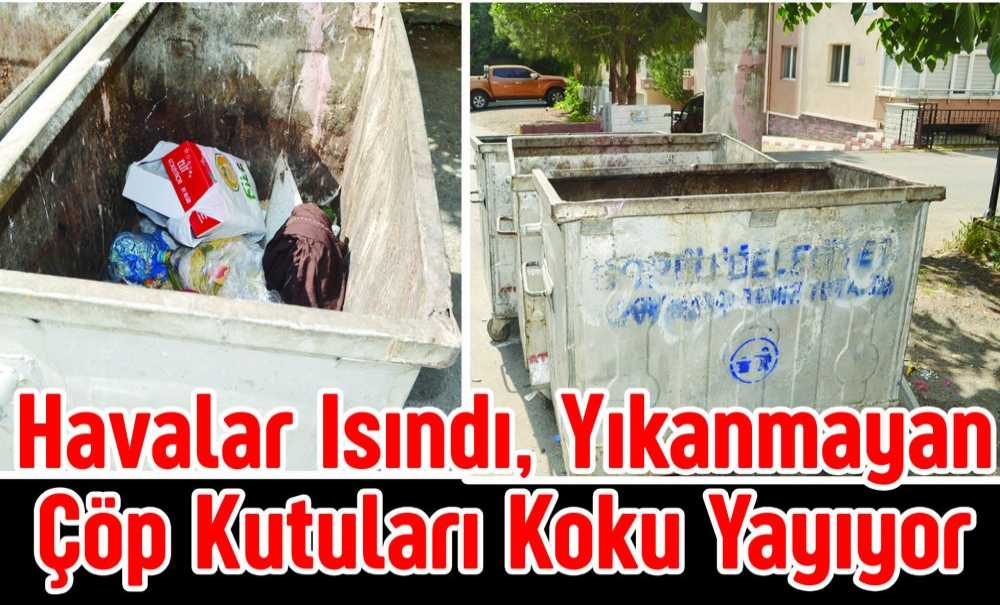 Havalar Isındı, Yıkanmayan Çöp Kutuları Koku Yayıyor