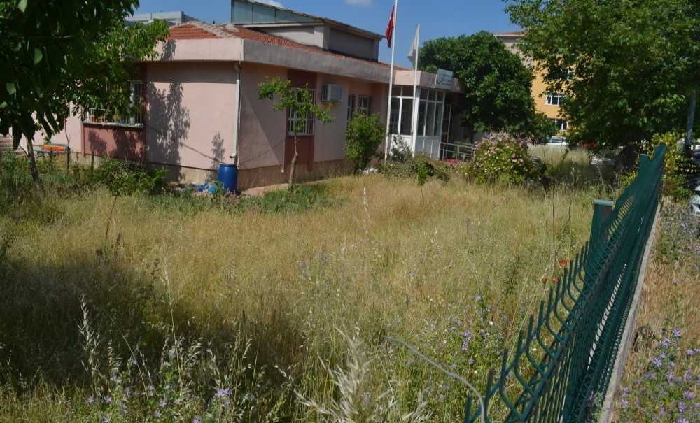 Sağlık Ocağının Bahçesini Ot Bürüdü