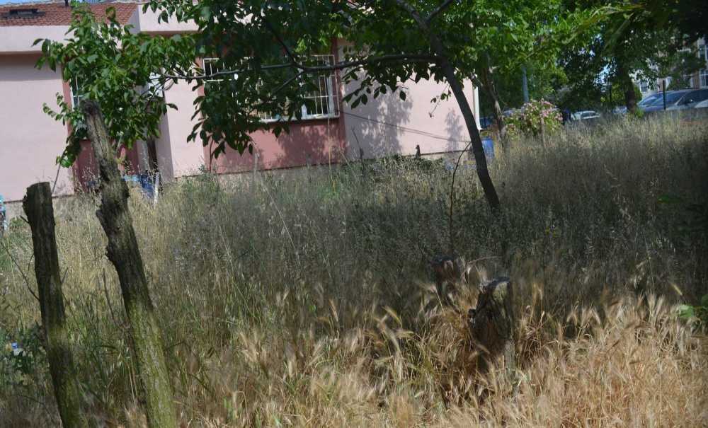Sağlık Ocağının Bahçesini Ot Bürüdü