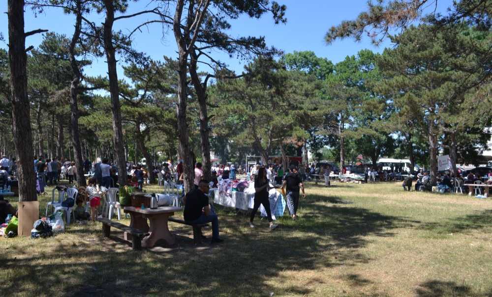 Birlik Ve Beraberlik Pikniğine Büyük İlgi