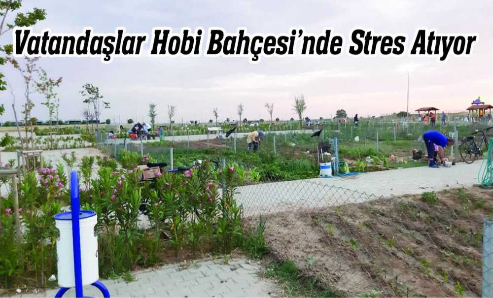 Vatandaşlar Hobi Bahçesi'nde Stres Atıyor