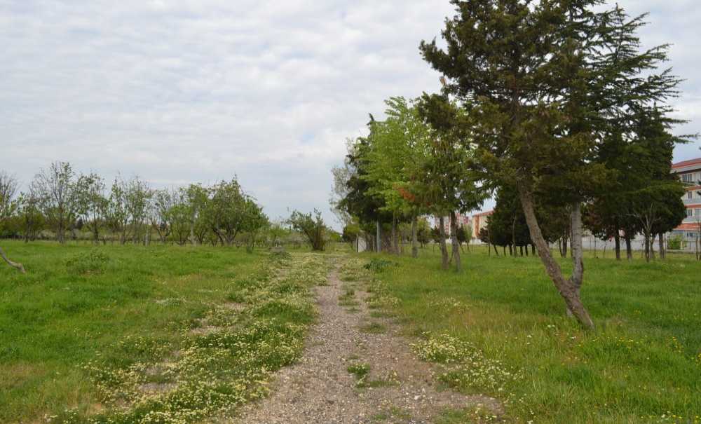 Tema Parkı Daha Kaç Yıl Bekleyecek?