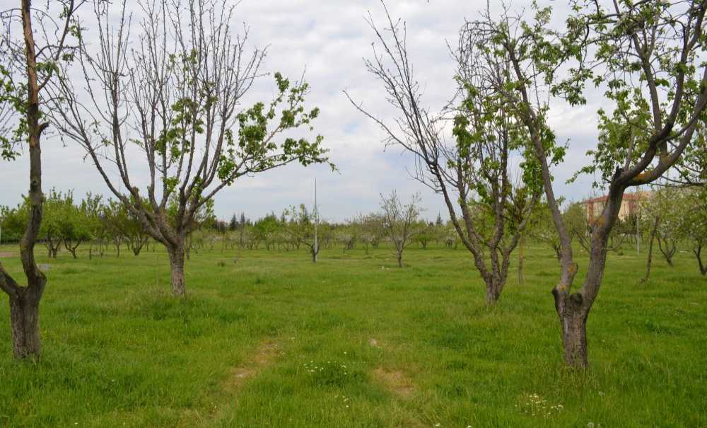 Tema Parkı Daha Kaç Yıl Bekleyecek?
