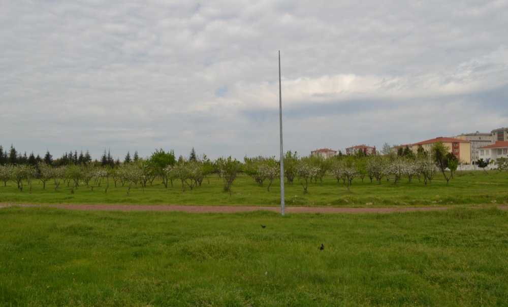 Tema Parkı Daha Kaç Yıl Bekleyecek?