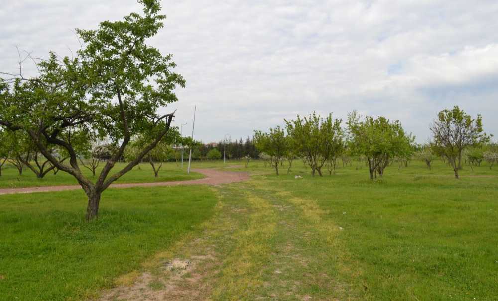 Tema Parkı Daha Kaç Yıl Bekleyecek?