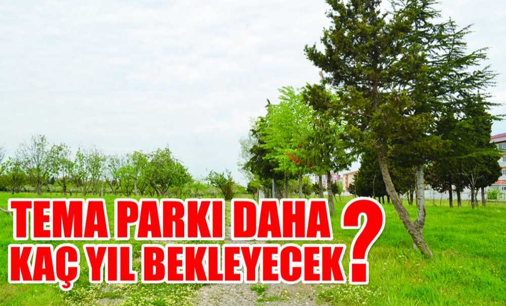 Tema Parkı Daha Kaç Yıl Bekleyecek?