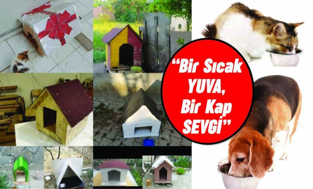 ''Bir Sıcak Yuva, Bir Kap Sevgi''