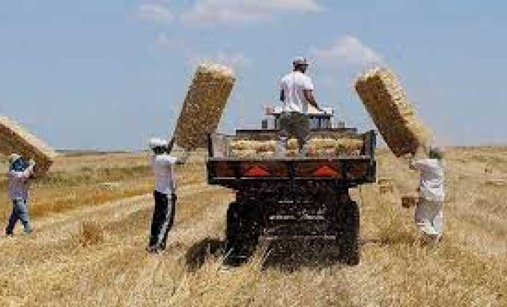 Biçim Ve Balya Bağlama Ücretleri Belli Oldu