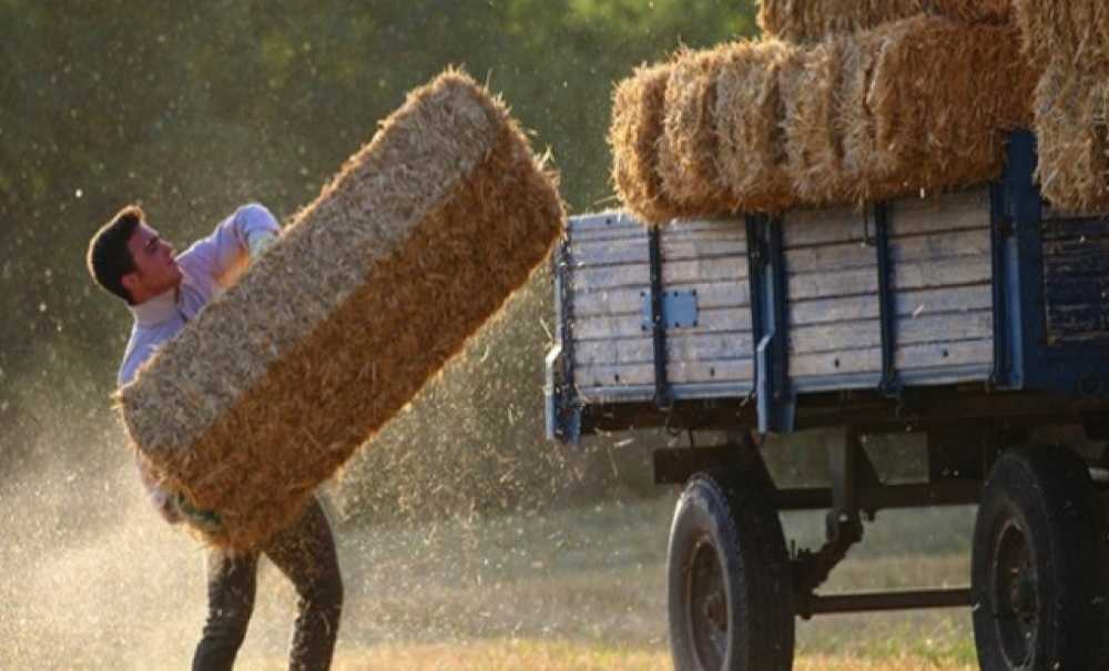 Biçim Ve Balya Bağlama Ücretleri Belli Oldu