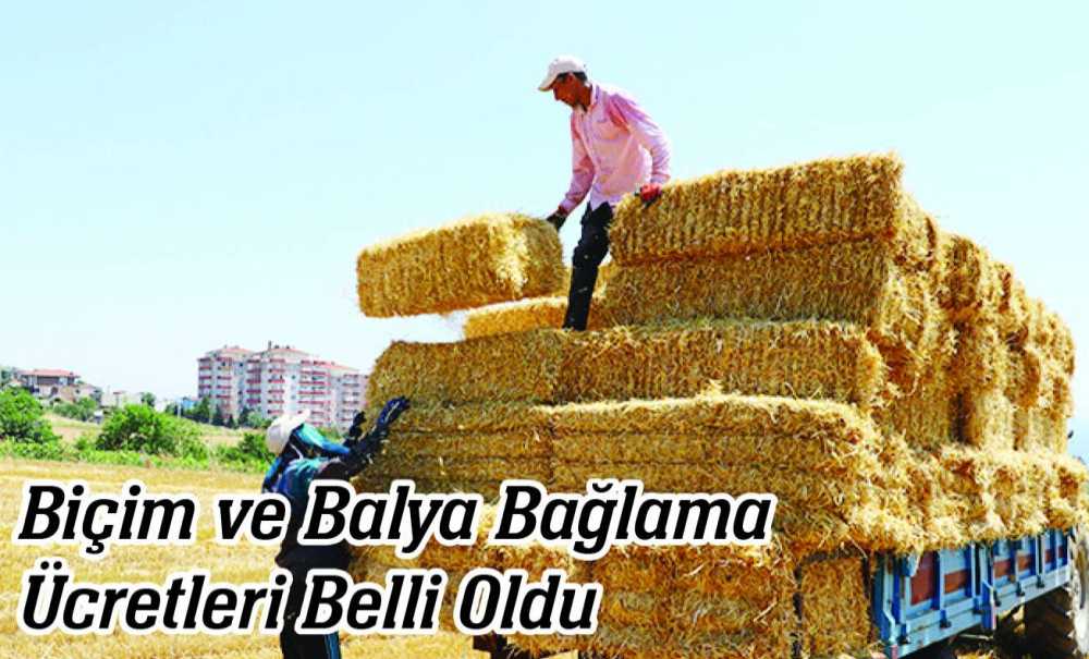 Biçim Ve Balya Bağlama Ücretleri Belli Oldu