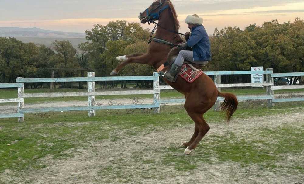 Türk Geleneğine Sahip Çıkıyorlar