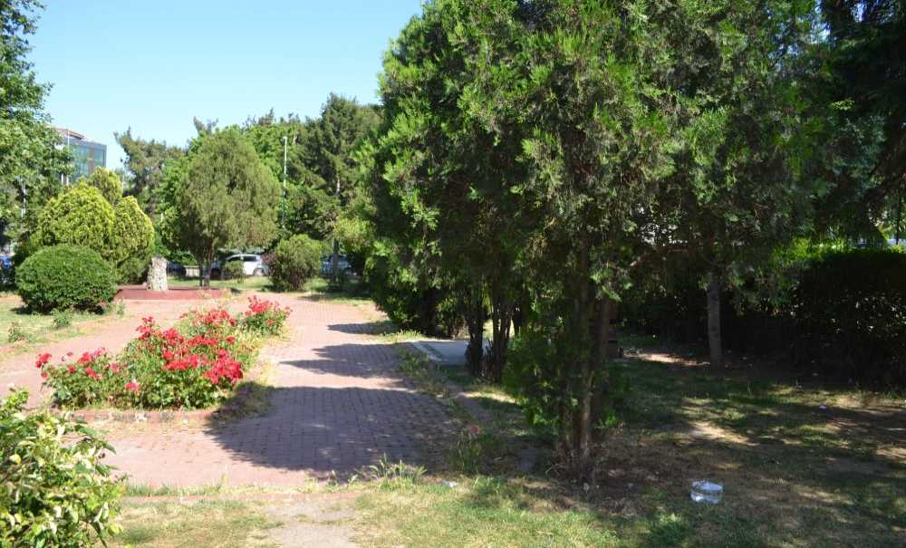 Madde Bağımlıları Bölgeden Temizlendi