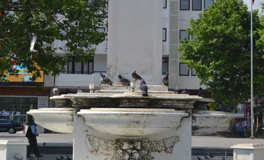 Güvercinler Susuz Kalıyor