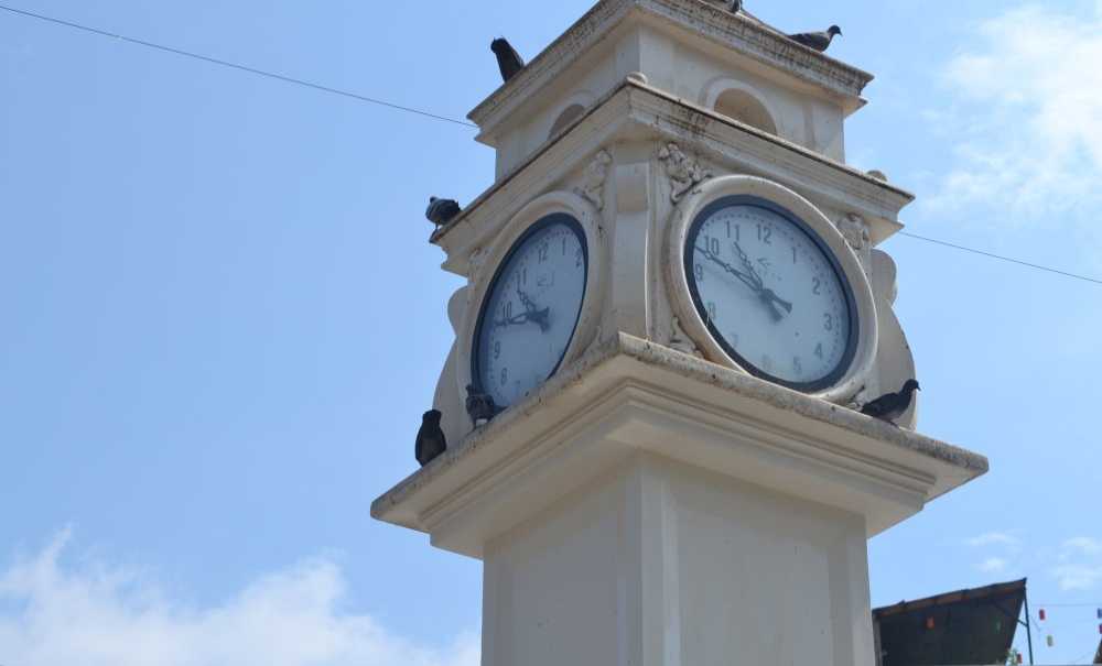 Güvercinler Susuz Kalıyor