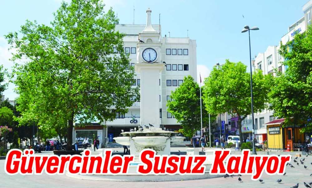 Güvercinler Susuz Kalıyor