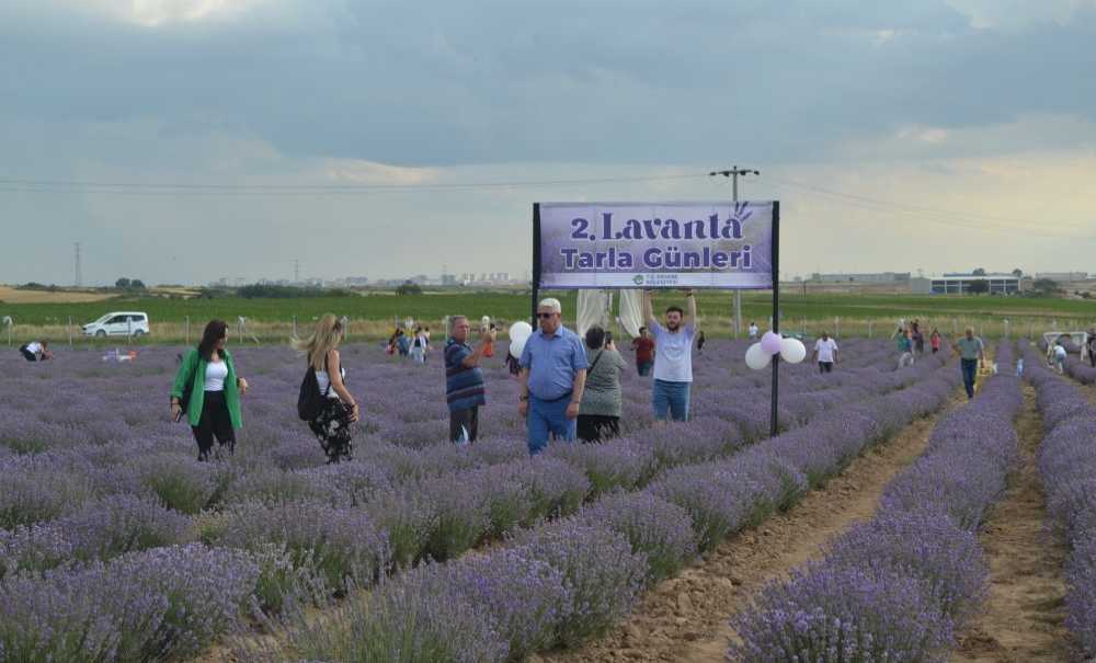 Lavanta Şenlikleri Geleneksel Hale Gelecek