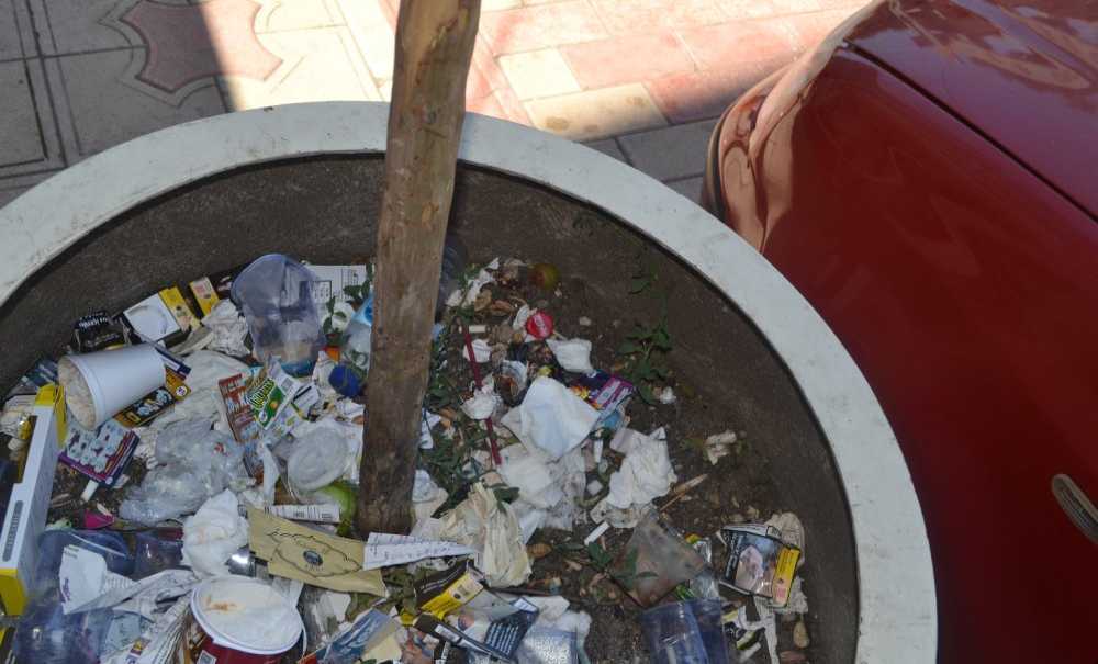 Saksılar Çöp Kutusu Olarak Kullanılıyor