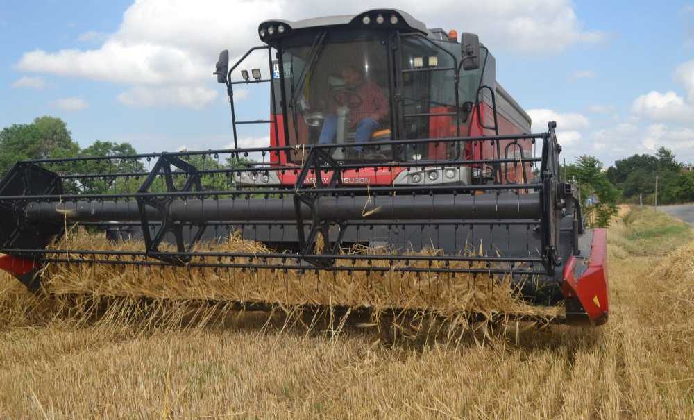 Buğday Hasadı Başladı