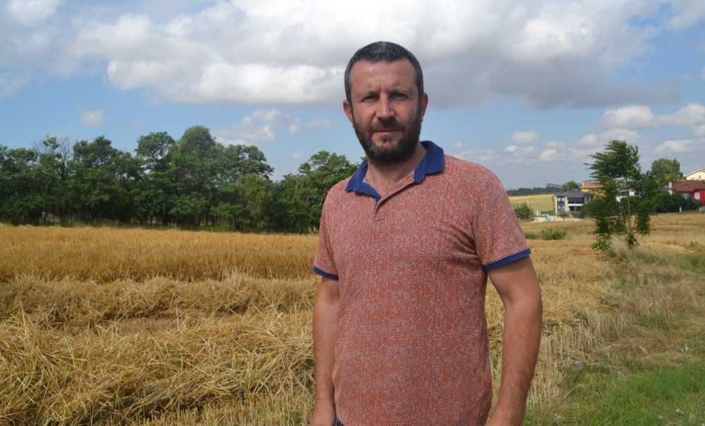 Buğday Hasadı Başladı