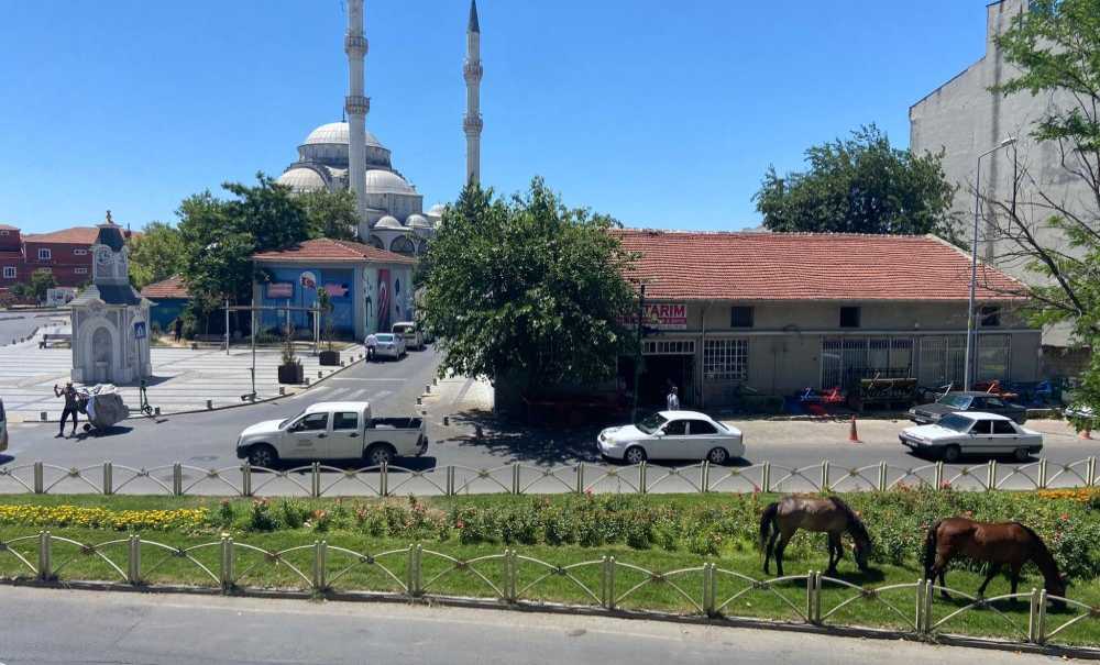 Saldım Çayıra Mevla'm Kayıra
