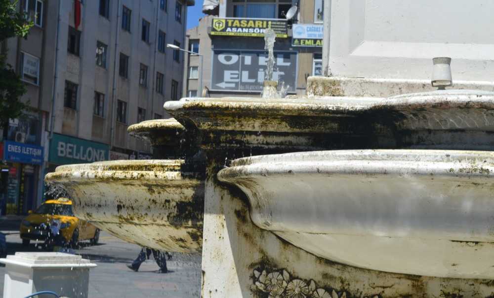 Bu Görüntü Tepki Çekti