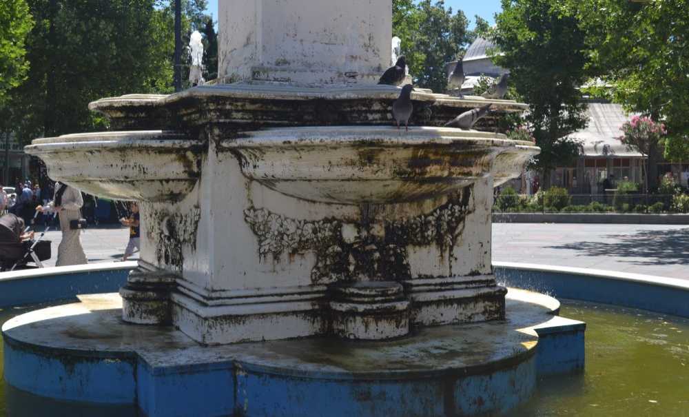 Bu Görüntü Tepki Çekti