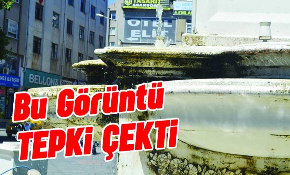 Bu Görüntü Tepki Çekti