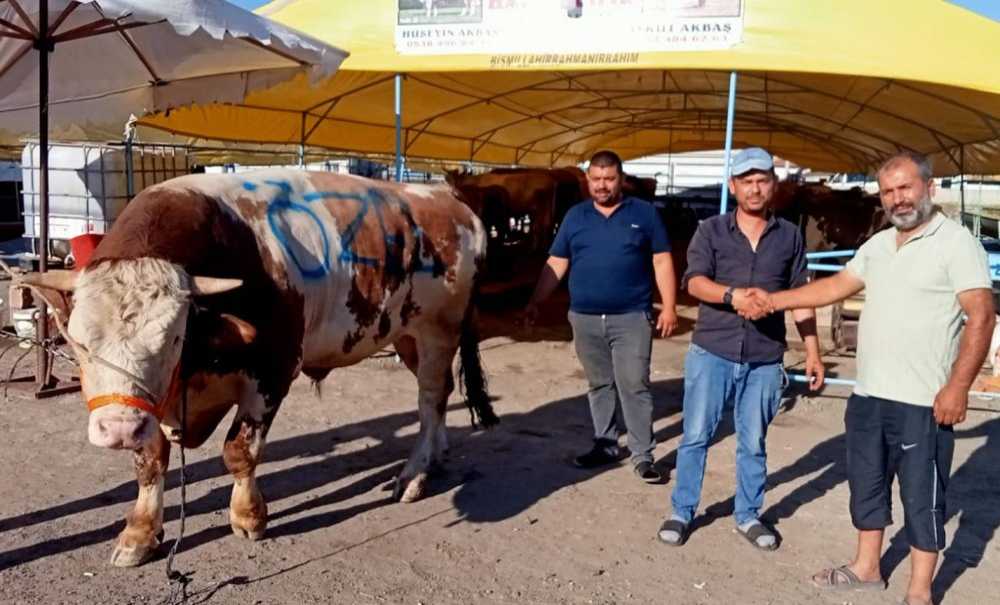 Kurban Satıcıları Memleketlerine Döndü