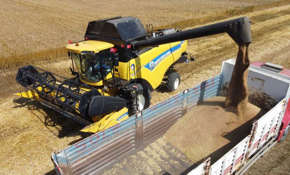 Hasat Edilen Buğdaylar Sofralarla Buluşacak