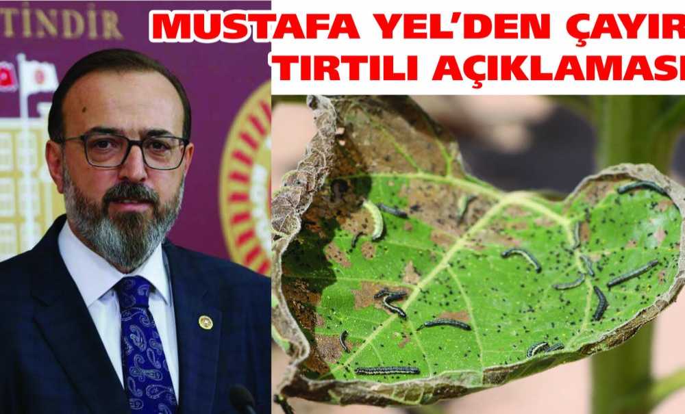 Mustafa Yel'den Çayır Tırtılı Açıklaması