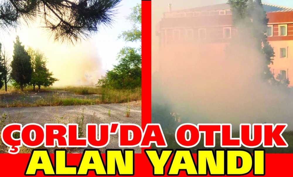 Çorlu'da Otluk Alan Yandı