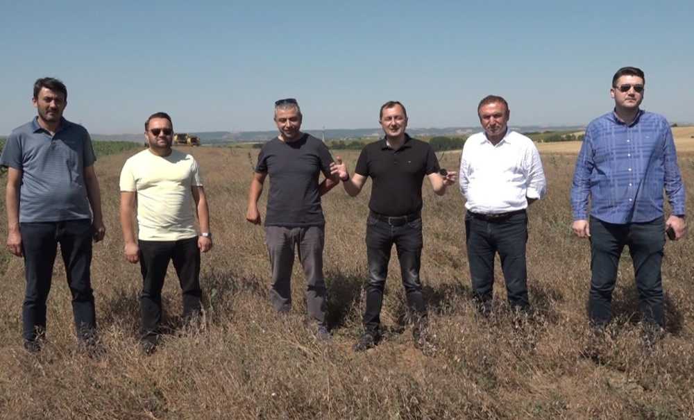 Süleymanpaşa Belediyesi Kendi Tarlalarında Yem Bitkisi Ekimi Gerçekleştirdi